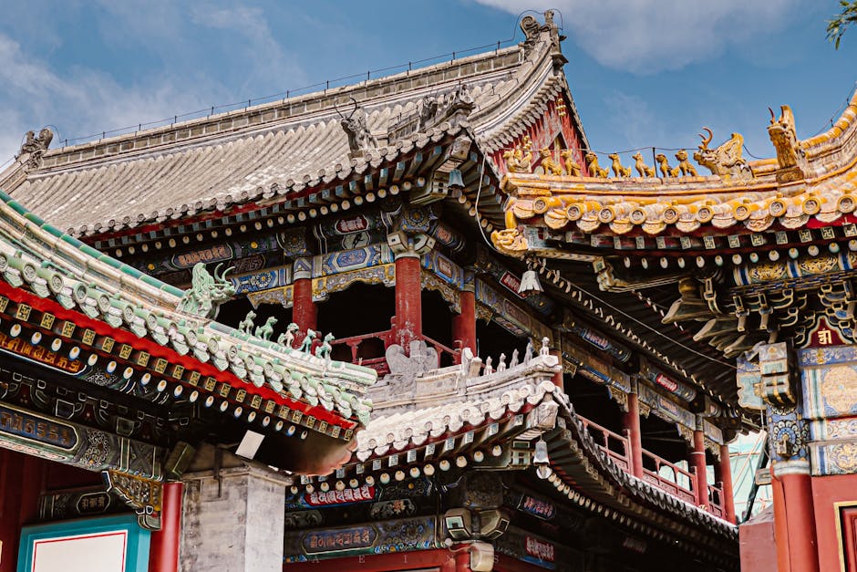 姚苌与后秦：五胡十六国时期的军事改革与文化融合