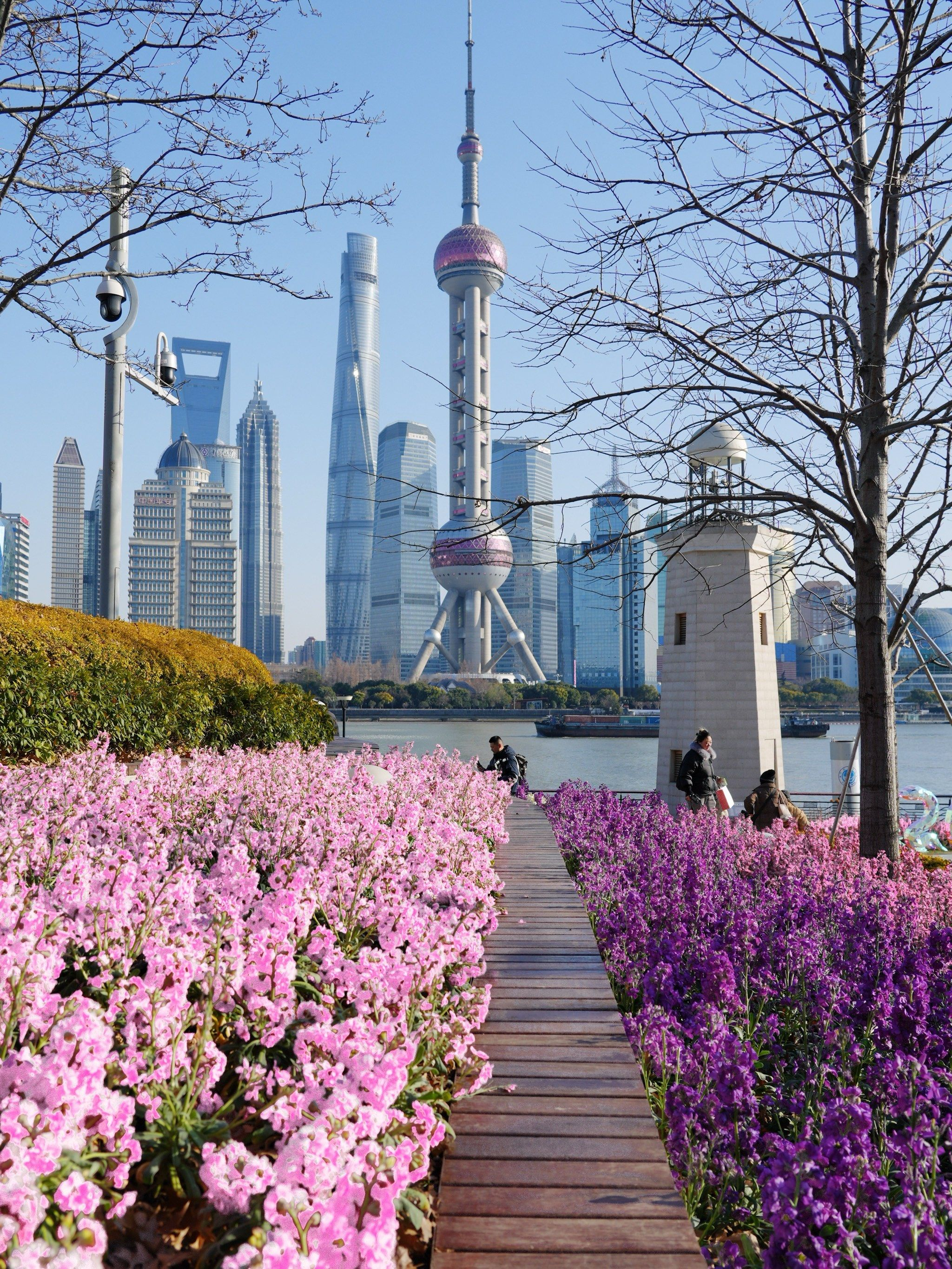 春天来上海逛街，别只去商圈：这条路把老味道和新潮流都装进去了