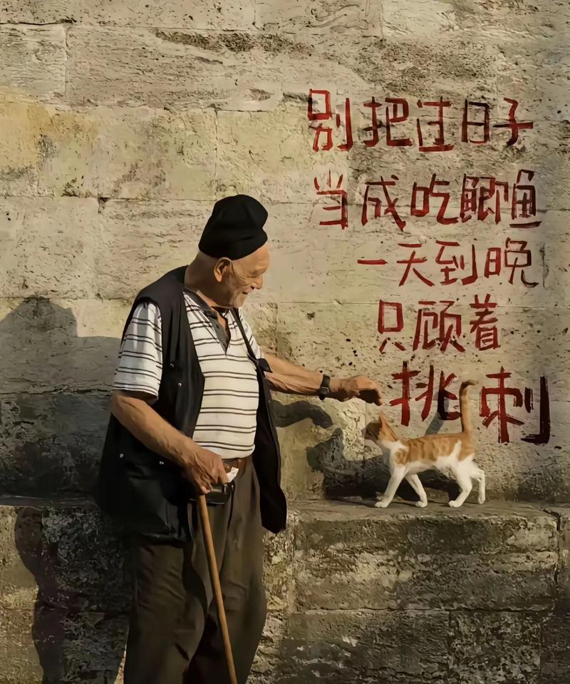 窗口里的求助声：一场发生在街头的“接力”救援